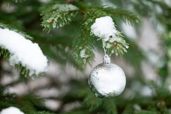 Silver ball on the of branch of fir tree covered with snow, close up. Christmas decoration outdoors, festive mood, charmy and magical atmosphere in garden