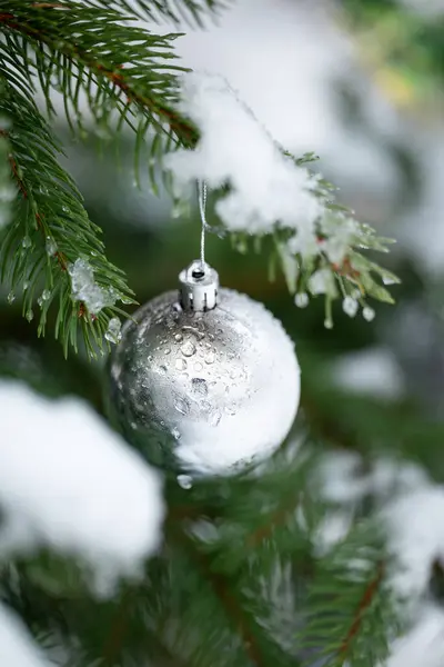 Beautiful silver ball on the branch of fir tree, covered with snow and water drops, close up, vertical shot. Christmas decoration outdoors, charmy atmosphere in the garden for winter holidays