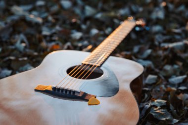 Gitar yerde, koyu kuru yaprakların üzerinde duruyor. Yaklaş. Enstrüman çalma kavramı, sonbahar akşamları doğada iyi vakit geçirme kavramı