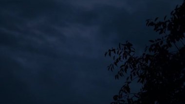 Karanlık gökyüzündeki yıldırımların arka planındaki ağaç silueti. Gökyüzünde kara kasırga bulutlarının gece videosu, aydınlatıcı bulutlar