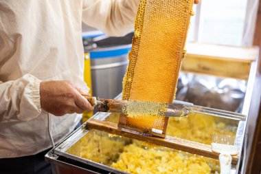 Arıcı, bal çerçevesini elektrikli bıçakla açıyor, hasat sırasında kapağını açıyor. Bal çerçevelerini açmak için profesyonel tablo, arkaplanda çıkarıcı