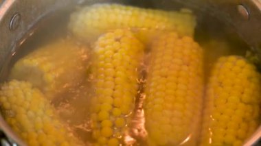 Tavada taze sulu mısır kaynıyor. Suyun içinde lezzetli mısır, tatlı mısır, sağlıklı yiyecek.