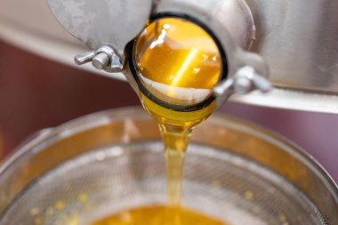 Bal sökücü musluğu sadece bal ile kapatılıyor. Süzgeçten kovaya dökülen taze altın bal