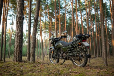 Çam ormanında motosiklet. Ormanda Enduro motosikleti, yaşlı çam ağaçları, akşam yerde yosun.