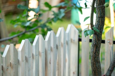 Ağacın yanına çit öreceğim. Bahçede yeni ahşap çitler, tahta tahtalar mürekkeple boyanmalı.