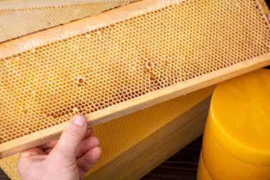 Hive frame with wax. Beekeeper holding frame from the hive, wax in sheets and disks clipart