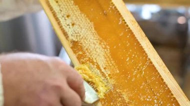 Metal alet açacağıyla bal çerçevesini açıyorum. Arı kovanına altın gibi sağlıklı bal sür.