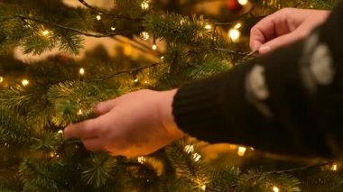 Noel ağacı süslemesi, dallara ışık tutan bir kadın. Noel ağacını LED ışıklarla süsleyen kadın, yapay kürk ağacına çelenk asan kadın.