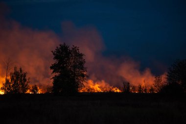 Akşamları orman yangını. Kırsal kesimlere yayılan yangın otları, ağaçları ve çalıları yakıyor.