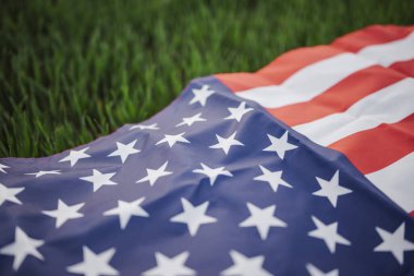 Baharda buğday tarlasında Amerikan bayrağının tonlu görüntüsü. Genç buğdaylar baharda büyürken esnekliğin, yeniden doğuşun ve özgürlüğün sembolü.
