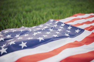 Amerikan bayrağının yeşil buğday üzerindeki tonlu görüntüsü. Kış buğdayında Amerikan bayrağı, bayrağa yakın, arka planda yeşil parlak filizler