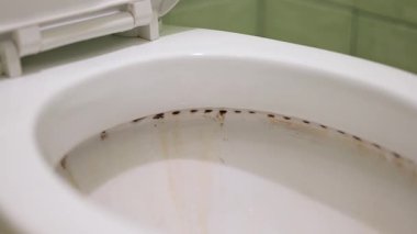 Temiz bir banyo için jöle ve fırçayla tuvalet temizliyorum. Tuvaletin kenarına jöle sür. Lekeleri çıkarmak için fırçayla fırçala. Banyoda temizlik garantisi ver.