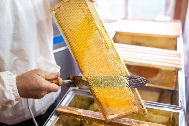 Diğer çerçeveler beklerken arı yetiştiricisi bal peteğini açıyor. Arıcı, bal peteği çerçevesinde elektrikli bıçakla çalışır, arka planda diğer kapağı açık çerçevelerle birlikte.