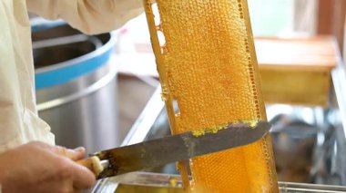 Arıcı elektrikli bıçak ve çatal kullanarak bal peteğini açar. Arıcı, balmumu kaplı peteği ısıtılmış elektrikli bıçakla açar ve ardından özel bir çatal açar.