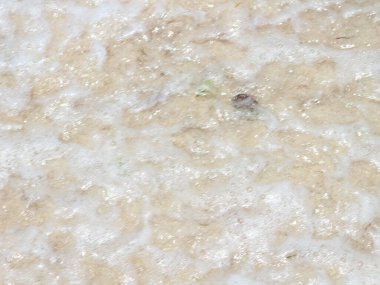 Sahilde yürü ve sıcak bir günde güzel ve güzel denizi gör.