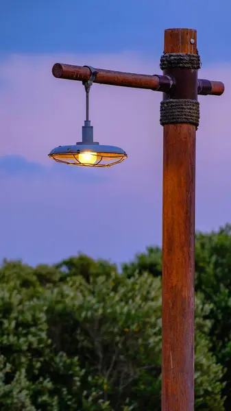 Street Lamp in the park, dusk