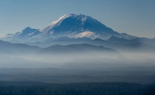 Över Mount Rainier Med Lager Skogbeklädda Foten Förgrunden — Stockfoto