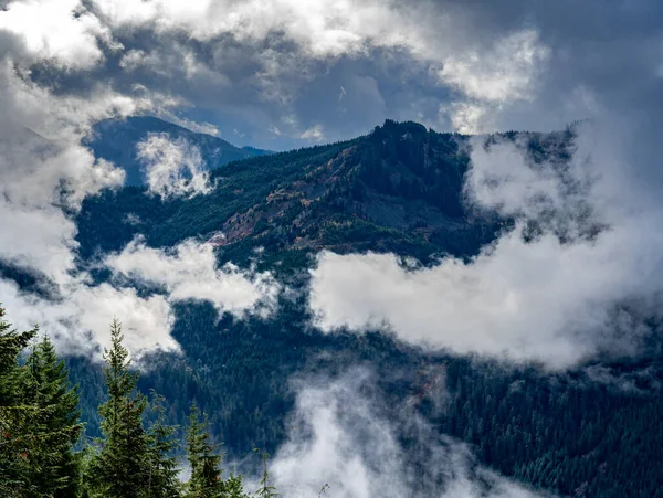 Una Vista Una Malhumorada Montaña Siempre Verde Boscosa Envuelta Nubes — Foto de Stock