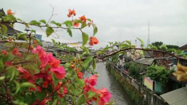 Jembatan Sayidan ya da Sayidan Köprüsü 'nden görülen Yogyakarta Kali Kodu veya nehir kodu. Flamboyant ağacından çerçeve.