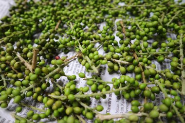 Beyaz arka planda yeşil genç Andaliman. Genellikle Tuba ya da Itir-itir olarak bilinir. Zanthoxylum klanına ait bazı bitkilerin meyveleri. Endonezya 'da Batak mutfağı ya da Batak biberi olarak bilinir..