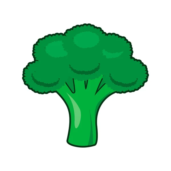 Brokoli Tasarımı Vektörü Düz Modern Izole Illüstrasyon — Stok Vektör
