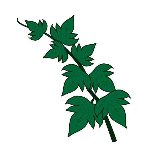 緑の毒ツタの葉のデザインベクトルフラット近代的な孤立イラスト — ストックベクタ