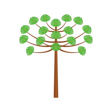 araucaria tree design vector flat modern isolated on white background