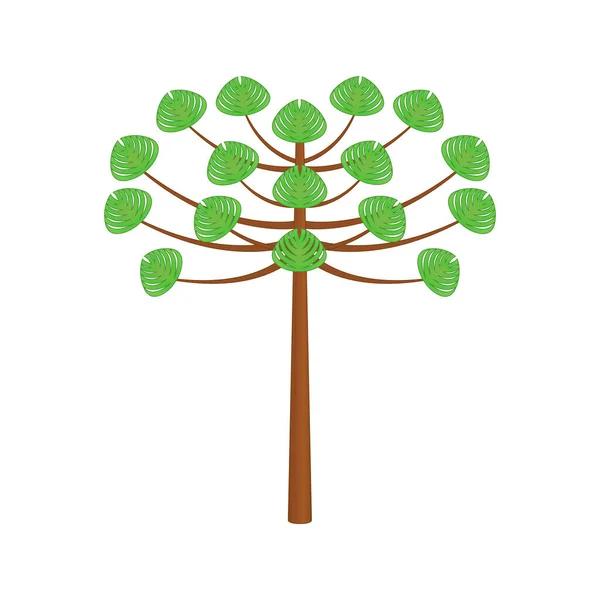 Araucaria Tree Design Vector Flat Modern Isolated White Background — Vetor de Stock