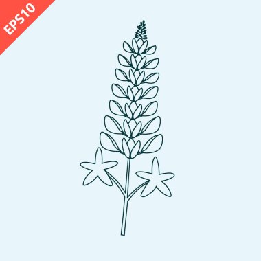 hand drawn bluebonnet design template flat isolated modern vector illustration clipart