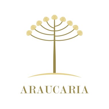araucaria ağaç logo tasarımı vektörü düz beyaz zemin üzerinde modern izole