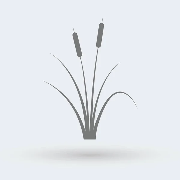 Cattail Icon Logo Design Vektor Flach Modern Isoliert Illustration — Stockvektor