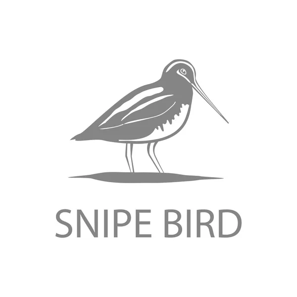 Snipe Ptaków Logo Zwierząt Projektowanie Wektor Ikony Płaskie Nowoczesne Izolowane — Wektor stockowy
