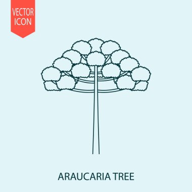 El çizimi araucaria ağaç tasarımı vektörü düz modern izole çizim