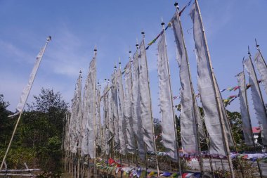 Leh Ladakh ve Budist manastırlarında sık sık renkli bayrak görmüş olmalısınız. Bu bayrağa Tibet dua bayrağı ya da Tibet bayrağı denir..