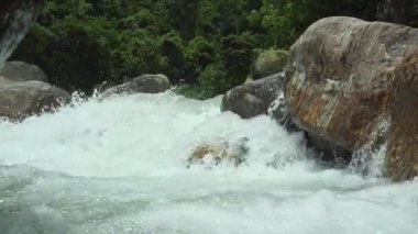 Doğanın arka planında güzel bir şelale