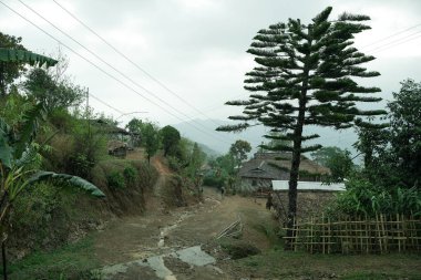 Nagaland, Hindistan 'da yaşayan insanların manzarası ya da evleri ve çevresi.