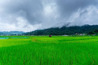 Dağlarla çevrili bir vadide küçük bir köy. Burası Andhra Pradesh Hindistan 'ın sıfır vadisi..
