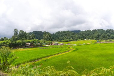 Arunachal Prodesh 'in manzara görüntüsü.