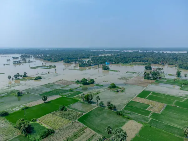 Batı Bengal selinin hava görüntüsü