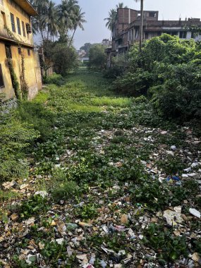 Nehir artık ölü ve insan atıkları yüzünden harap oldu..