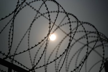 Güneş ışığı dikenli tellerden geliyor..