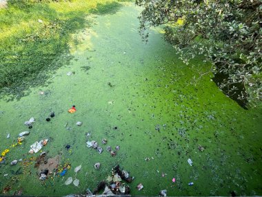 Geçmişte, su nehirden akıyordu, ama şimdi nehir çöpler yüzünden öldü..