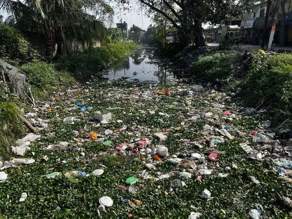 Geçmişte, su nehirden akıyordu, ama şimdi nehir çöpler yüzünden öldü..
