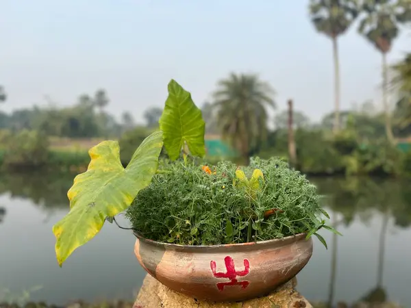 Adı Itu Puja. Batı Bengal 'deki çiftçiler bu puja' yı tarımda refah için yapıyorlar. Temel olarak bu puja tarlada yapılıyor. Ayrıca evin kadınları da bu puja 'yı küçük bir şekilde icra ediyor.