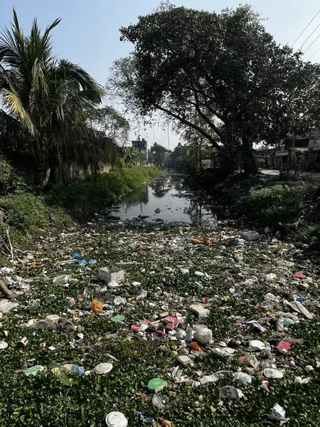 Nehir bir zamanlar çok fazla suyla akıyordu, ama şimdi kuru bir dere haline geldi..
