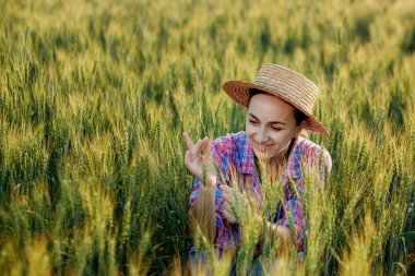 Genç bir çiftçi buğday başağında oturur ve burada büyümeyi analiz eder..