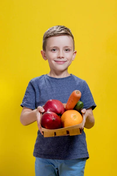 Niño Sostiene Una Canasta Con Verduras Frescas Frutas Sobre Fondo —  Fotos de Stock