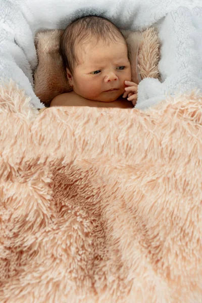 Dua Minggu Bayi Laki Laki Baru Lahir Tidur Kotak Kayu — Stok Foto