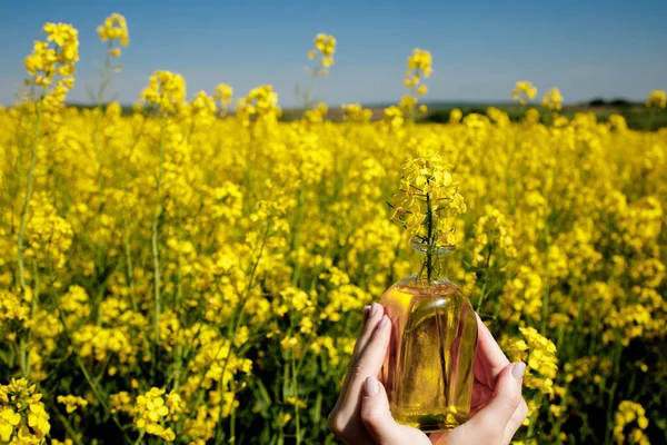 stock image Rapeseed oil in a transparent glass bottle in hand on a background of rapeseed field.