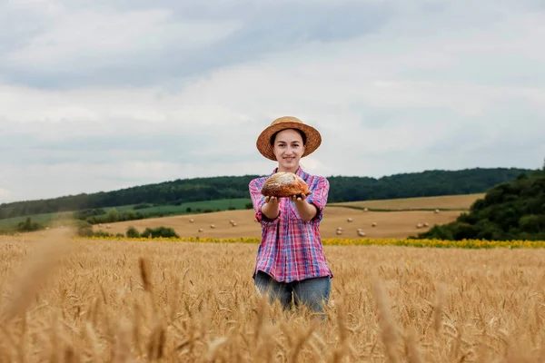 Woman Farmer Holds Organic Grain Bread Her Hands Background Wheat — 스톡 사진